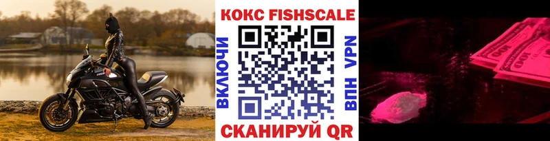 купить наркоту  Чита  COCAIN Fish Scale 