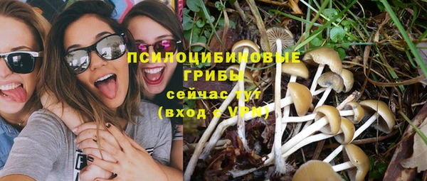 ГАЛЛЮЦИНОГЕННЫЕ ГРИБЫ Куйбышев