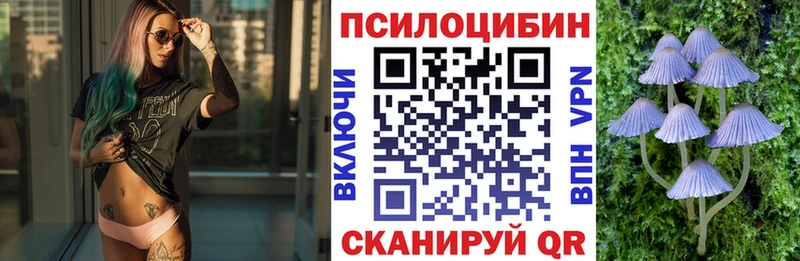 наркотики omg ссылки Галлюциногенные грибы Psilocybine cubensis Чита